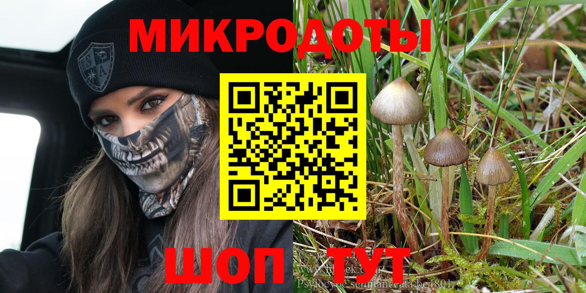 Псилоцибиновые грибы Magic Shrooms  Галлюциногенные грибы мицелий  Вход с VPN  Ижевск 